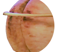 Gezüchtigter Po (BDSM)